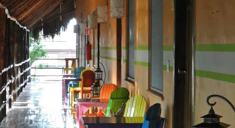 Koox City Garden Hotel بلايا ديل كارمن المظهر الخارجي الصورة
